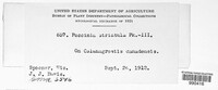 Image Associated With the Occurence